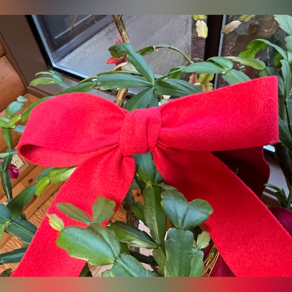 Embellished Felt Hair Bows, Set of Two - Wine - NWT - Picture 12 of 16